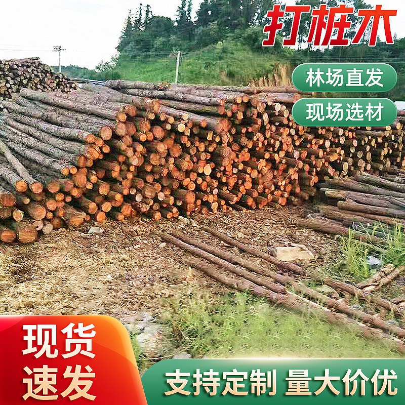 林场直发原木桩防汛河道打桩木建筑地H基护坡工程木材家具松木桩