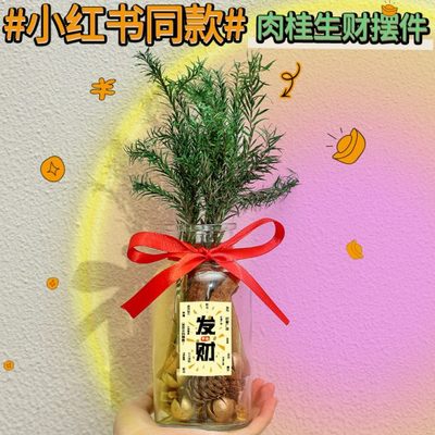 肉桂生财玻璃瓶摆件办公室桌面招财客厅乔迁之喜新居搬家入宅礼物