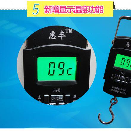 惠丰手提秤钓鱼秤电子称便携式 手提称手提电子秤弹簧秤夜光