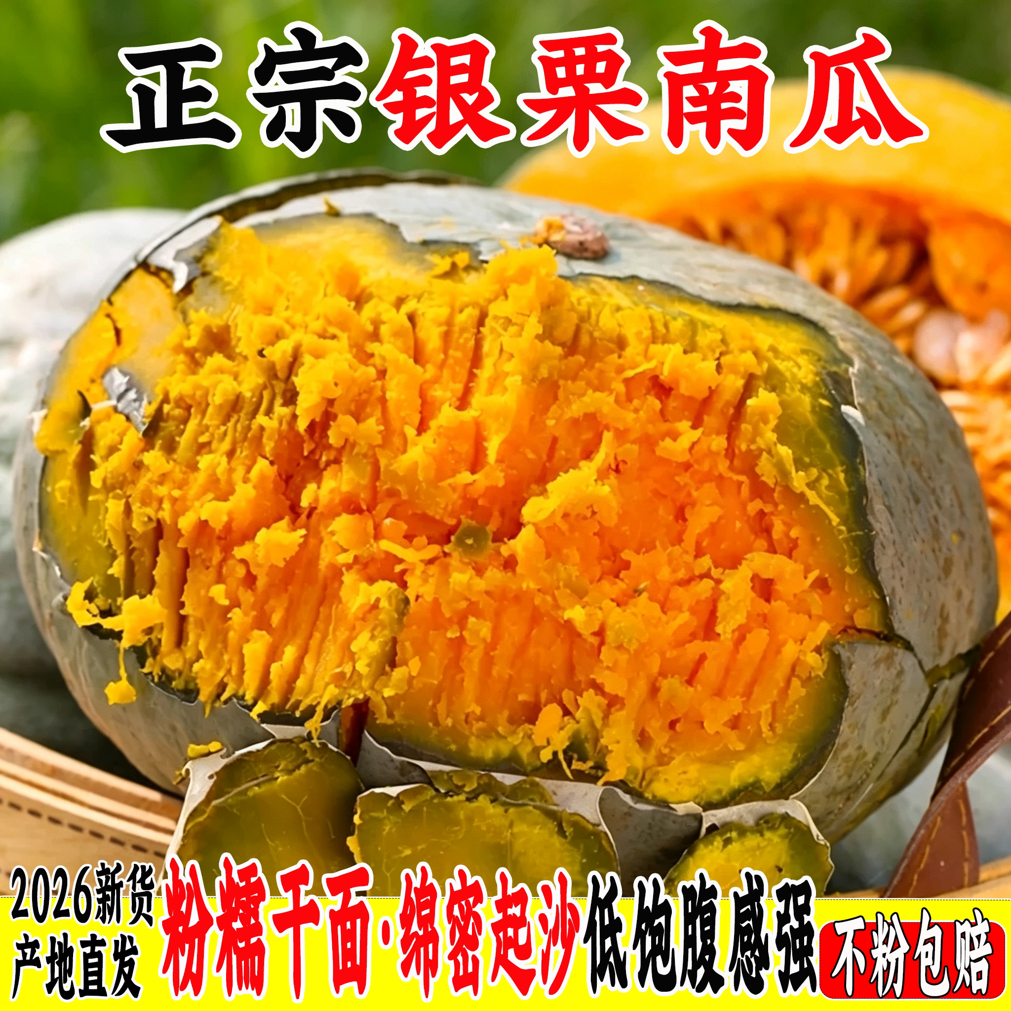 新疆银栗南瓜9斤板栗味老南瓜当季粉糯宝宝辅食金丝栗瓜