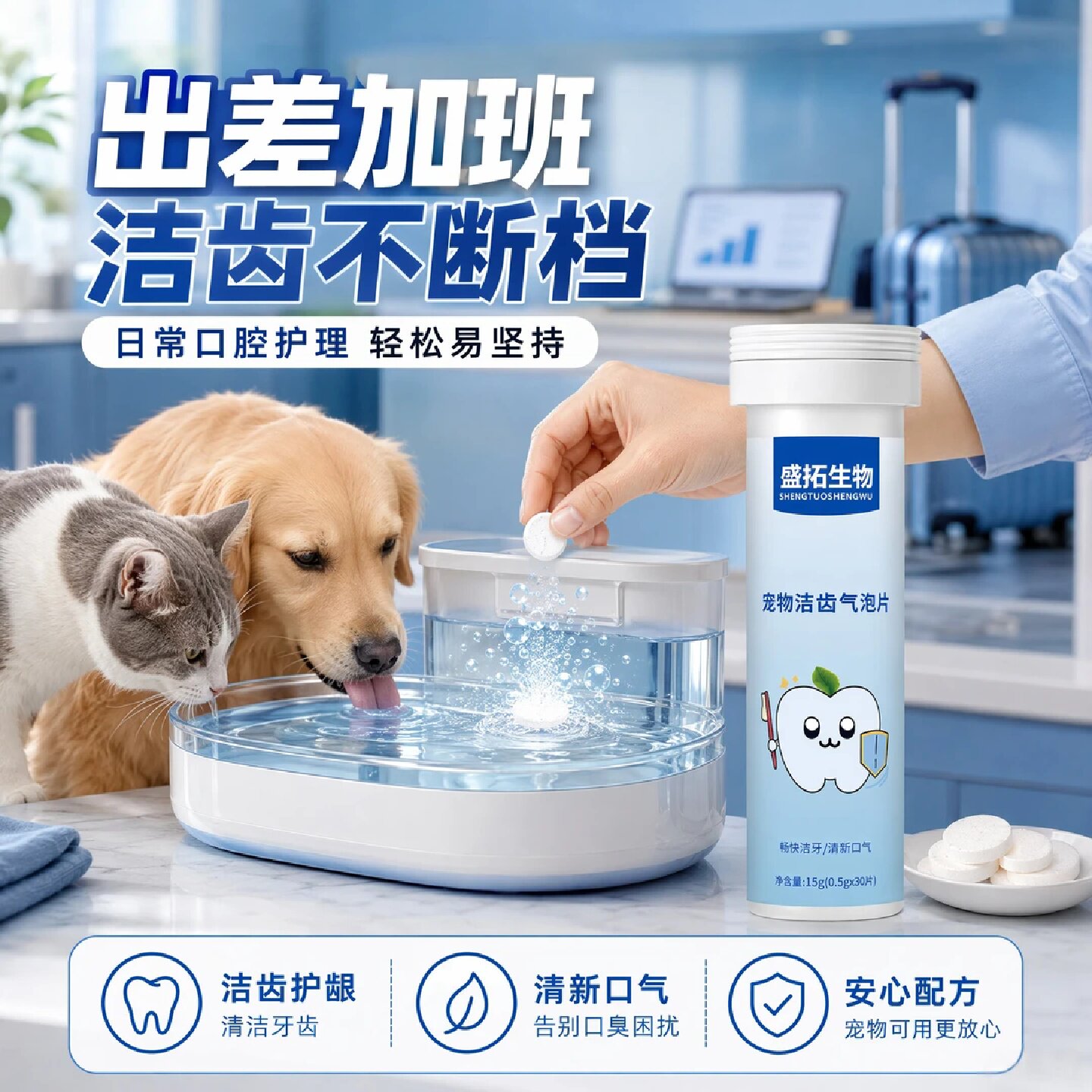盛拓生物宠物洁齿气泡片猫咪口腔清洁补水去口臭狗狗牙齿护理洁齿