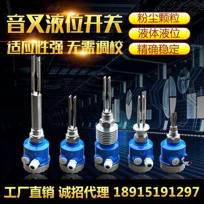 国大音叉液位开关料位液位计防爆物位计液位计控制报警器24V~220V