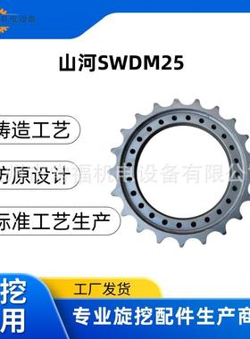 山河SWDM25徐工宝峨三一中联南车宇通土力旋挖配件 驱动齿