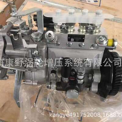 适用锡柴威孚喷油泵4AW524A（可替代4AW517） 1111100-A02-ZY1A