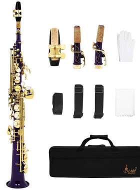 SLADE紫色直管萨克斯降B调高音萨克斯儿童成人初学者演奏萨克斯风