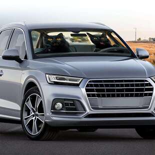 跨境霸气帮派猫咪搞怪动物印花遮阳前挡玻璃防晒隔热板