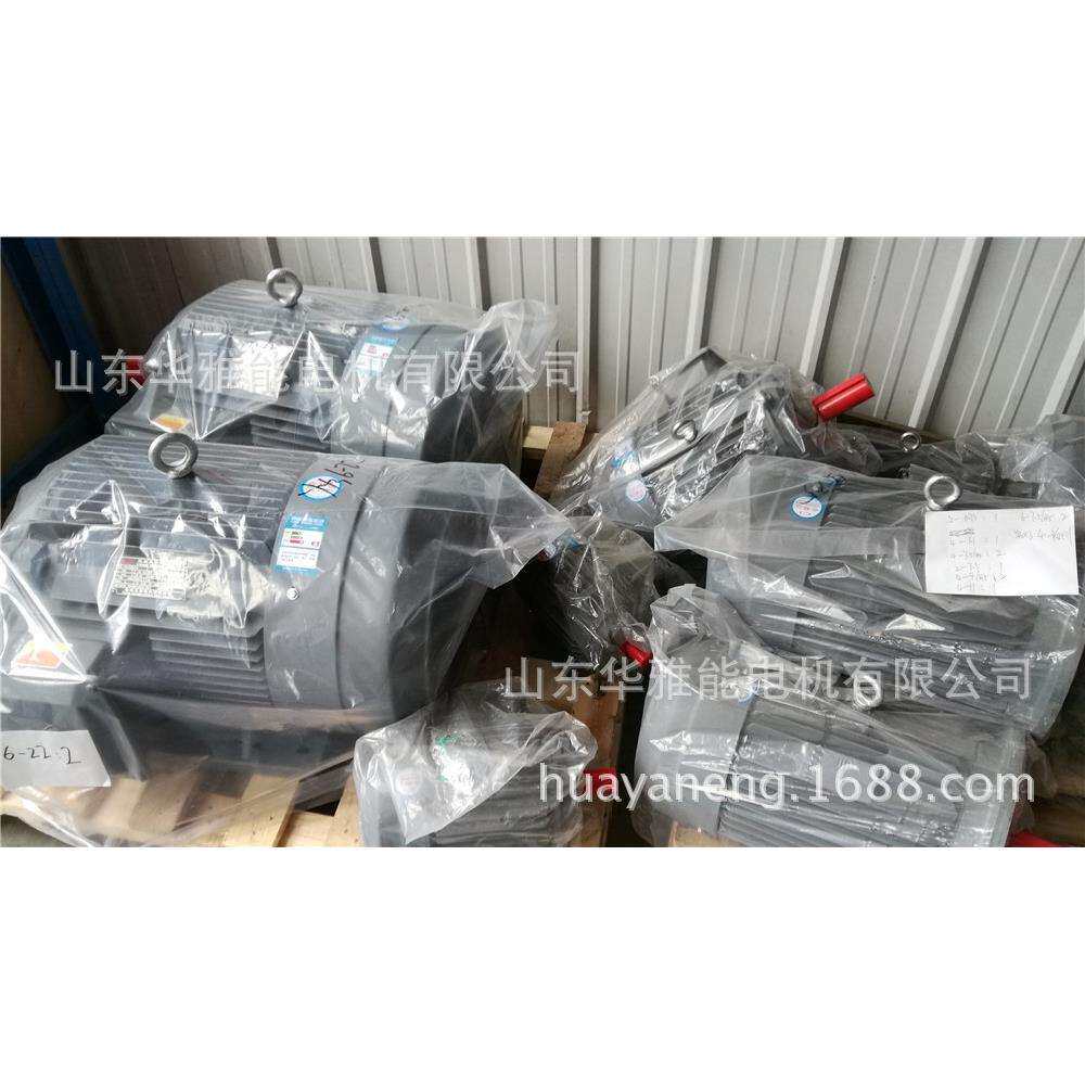 泰富西玛文宝电动机端盖YL/YC132M-8-3电机失电制动以防锈蚀损伤
