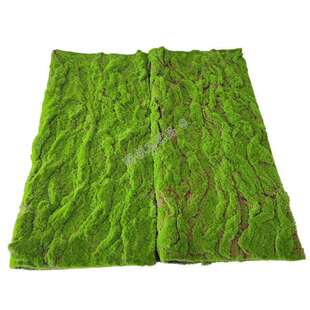 仿真青苔草皮绿色人造草坪植物墙橱窗微景观盆景装饰苔藓植绒草皮