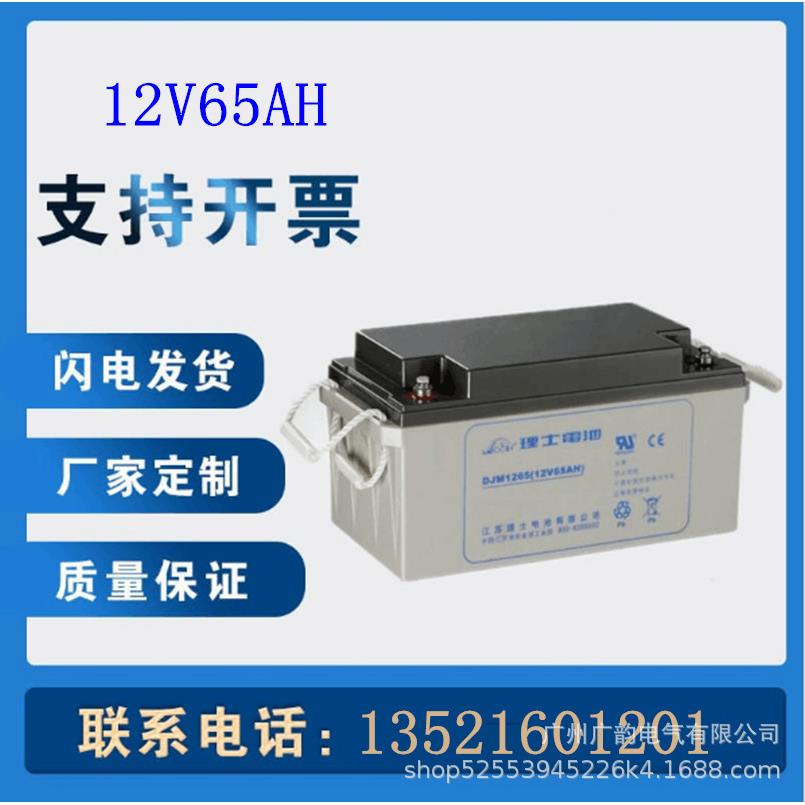 原装理士蓄电池DJM12100 LEOCH铅酸蓄电池12V100AH电力储能用