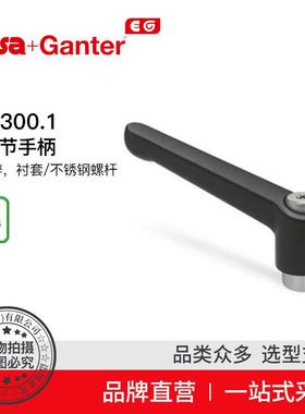 Elesa Ganter伊莉莎冈特 GN 300.1 可调节手柄压铸锌（5）