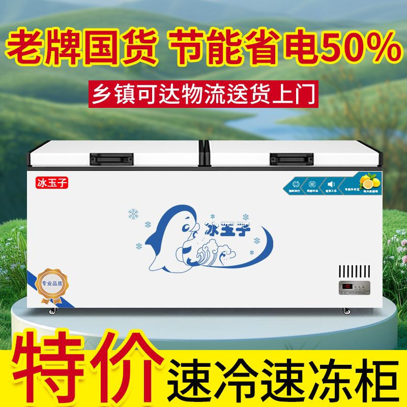 家用商用卧式冰箱冷藏冷冻两用冰柜单温双温节能冷柜厂家直销厂家