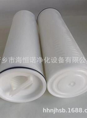 SYS-GL/150超滤前置过滤保安过滤器滤芯SZ3-1-20/5/SL-12/50