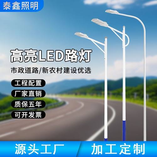 工厂定制高杆灯100w工程市电路灯新农村道路照明灯高亮LED路灯