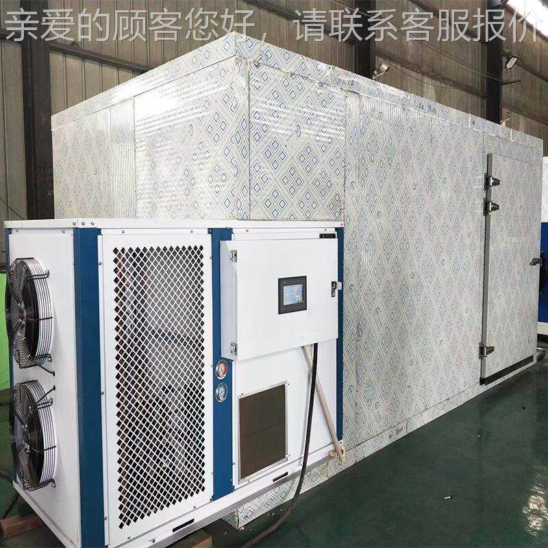 大型商用天干冬干机热风循环式均匀干果加烘工DY-100C设备香蕉干