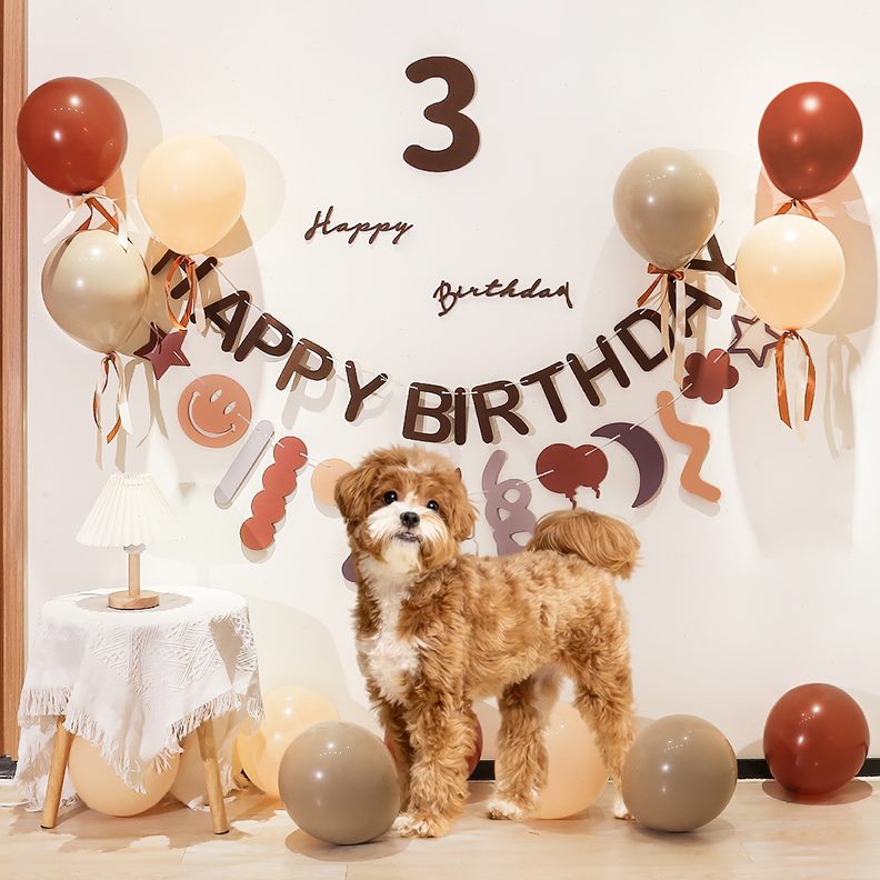 场景布置宠物狗猫咪生日派对装饰拍照道具ins背景墙气球森系1周岁