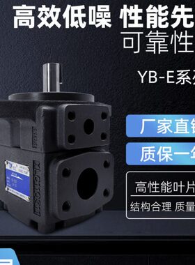 //L//25/Y40叶片泵YE5-E032EE12E6E居永灵E/5油泵16E0CB3010/E8仙