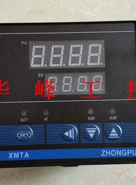 温控仪温度控制器浙江仪表智能t 中浦东-浦 P度10000 A40M2TX938-