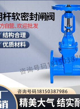 16-40N明Q法兰闸阀自来水D~闸阀41性0X弹DNZ软密封杆封铸铁 座30