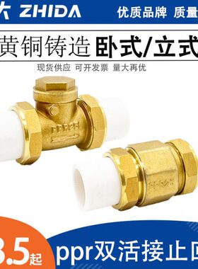 /自来水管20/表ND单向阀4卧双立式25活接PPR铜止回阀6分逆止/32铜