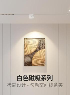 白色磁吸轨道灯嵌入式led射灯48V线条灯客厅简约无主灯家用明装