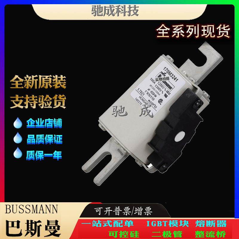 巴斯曼170M3241 170M3242 170M3243 长期销售价优 高速熔断器