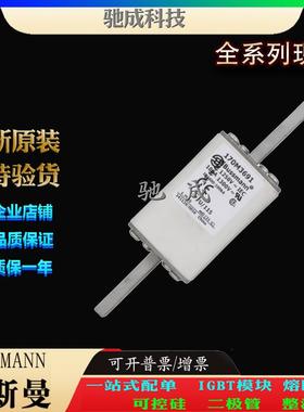 巴斯曼170M3691 170M3692 170M3693 长期厂价销售 低压保险丝