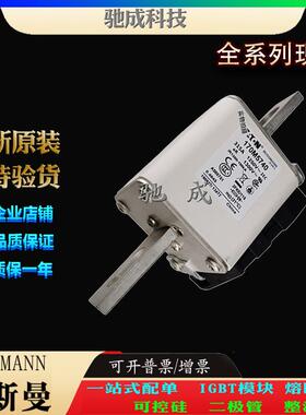 巴斯曼170M5725 170M5732 170M5733 经销直销价优 快速熔断器