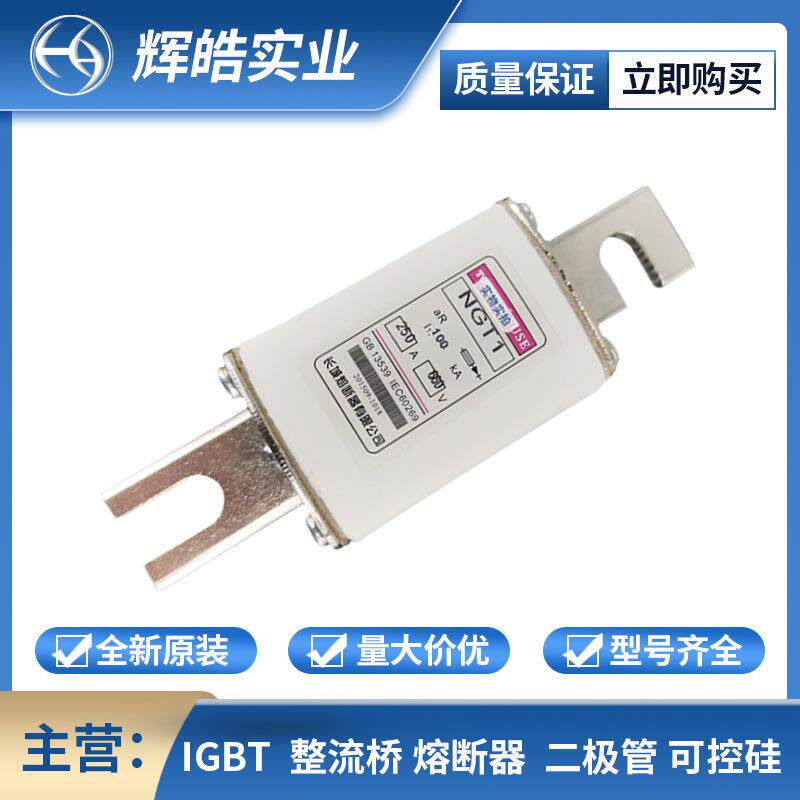 NGT1 250A660V 熔断器 熔断器配件 保险丝 电子元器件