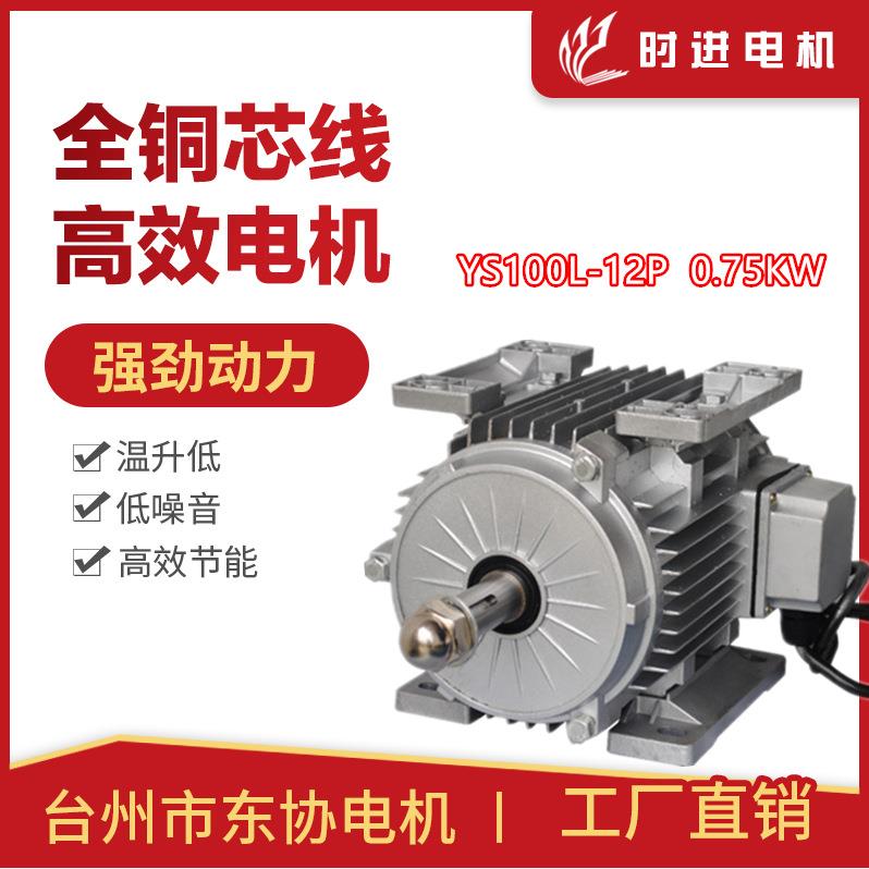 时进电机台州市东协电机YS100L-12P-0.75KW玻璃钢负压风机专用