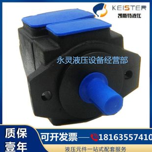 FV2V2油泵 F25 R叶STP1 1RRV2 ER定R19KER1P量片10凯斯特