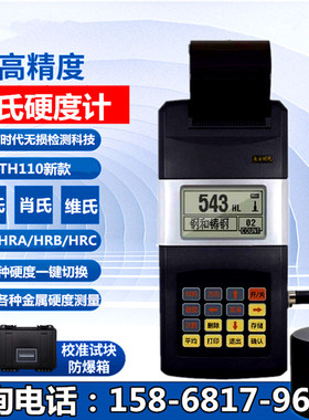 北京时代里氏硬度计TH110便携式金属硬度计铸铁S模具钢硬度测试仪
