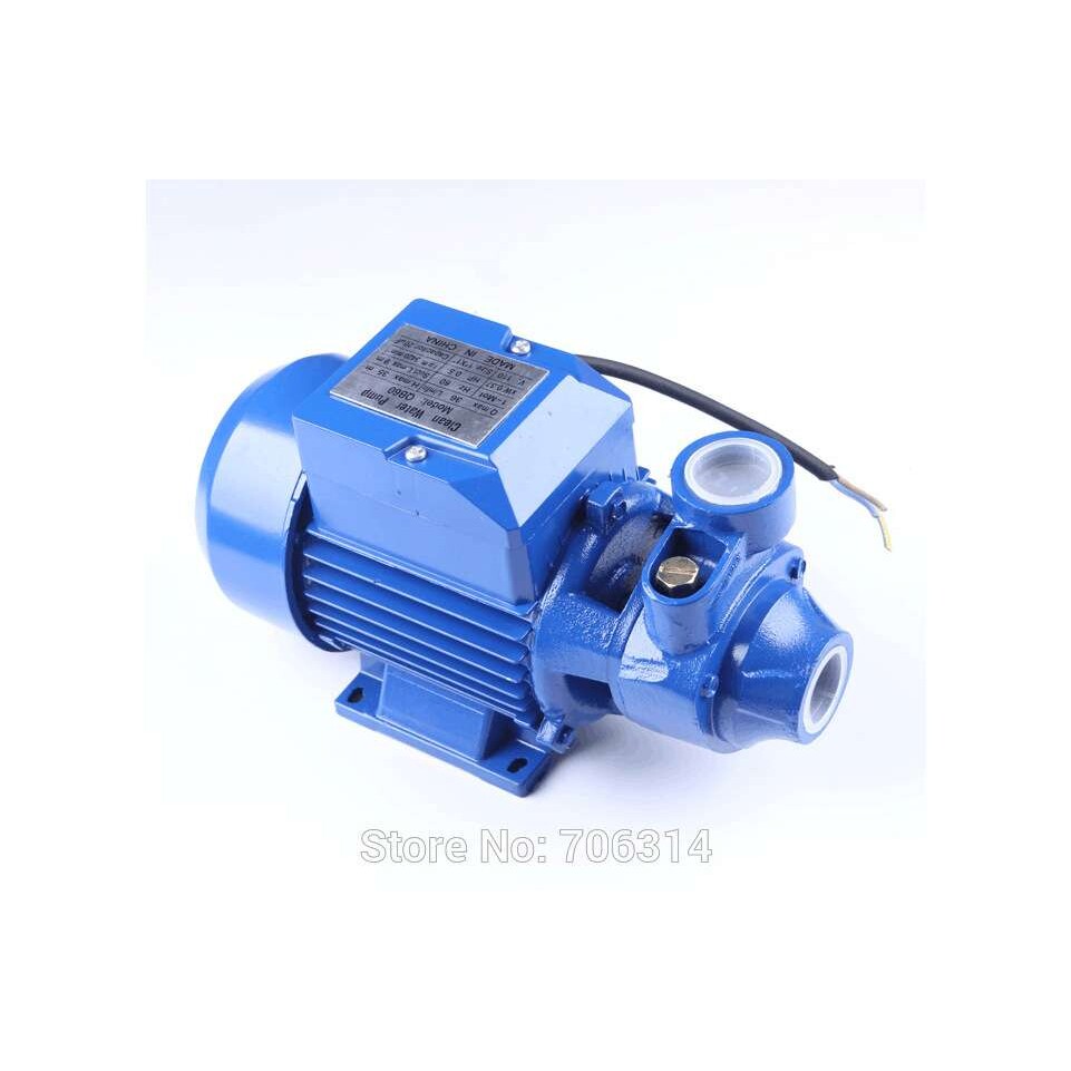 QB60 小型闽东清水泵110V 220V 家用和园林清水漩涡泵 家用泵