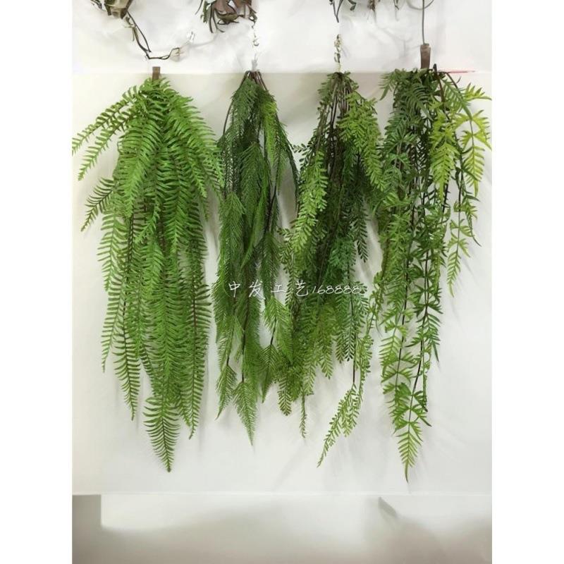 装饰吊顶墙壁吊绿色植花植物假叶蕨类吊兰绿色植物绿藤条管道