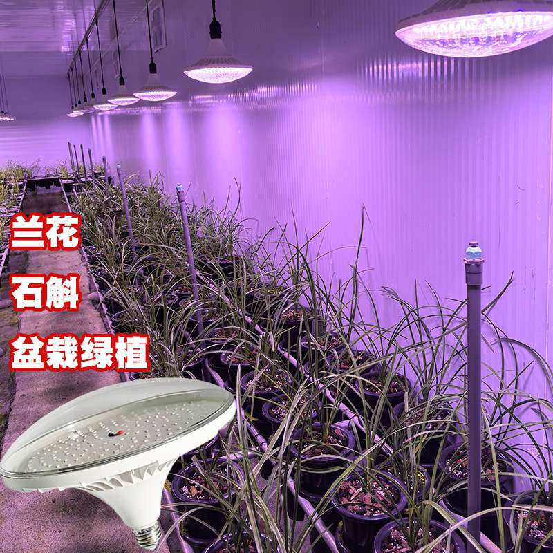 兰花补光灯温室大棚花卉兰草艺草专用灯全光谱led植物生长灯