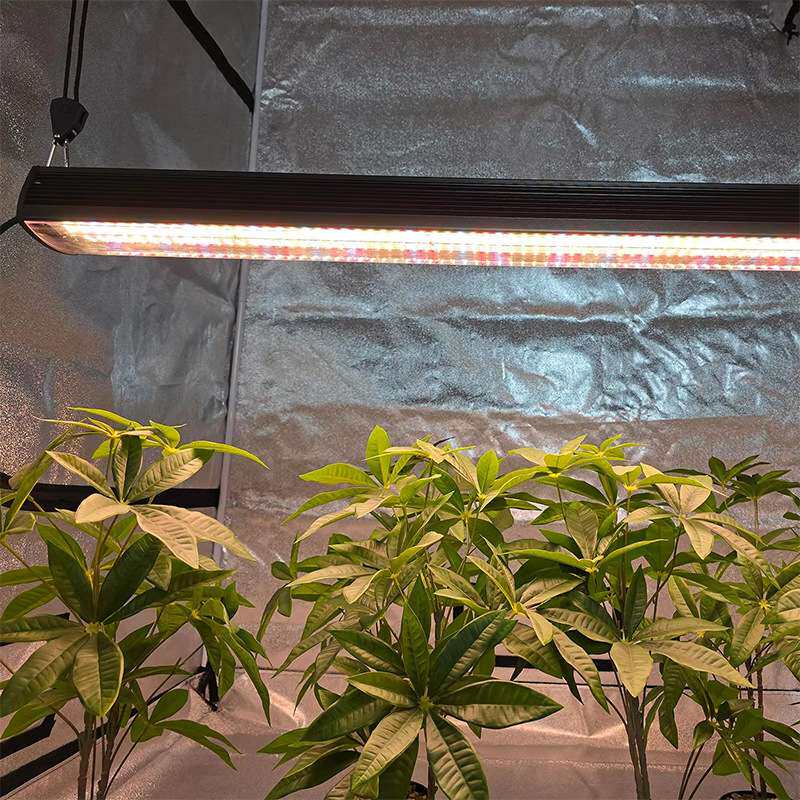 蔬菜大棚室内种植补光灯200瓦树下Under Canopy LED植物灯条防水