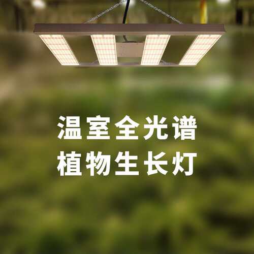 太阳灯植物照明240W全光谱植物生长灯LED植物补光灯grow light