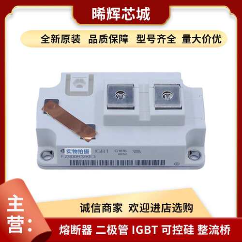 FF300R06ME3 FF400R06ME3 电子元器件半导体igbt标准封装量大从优