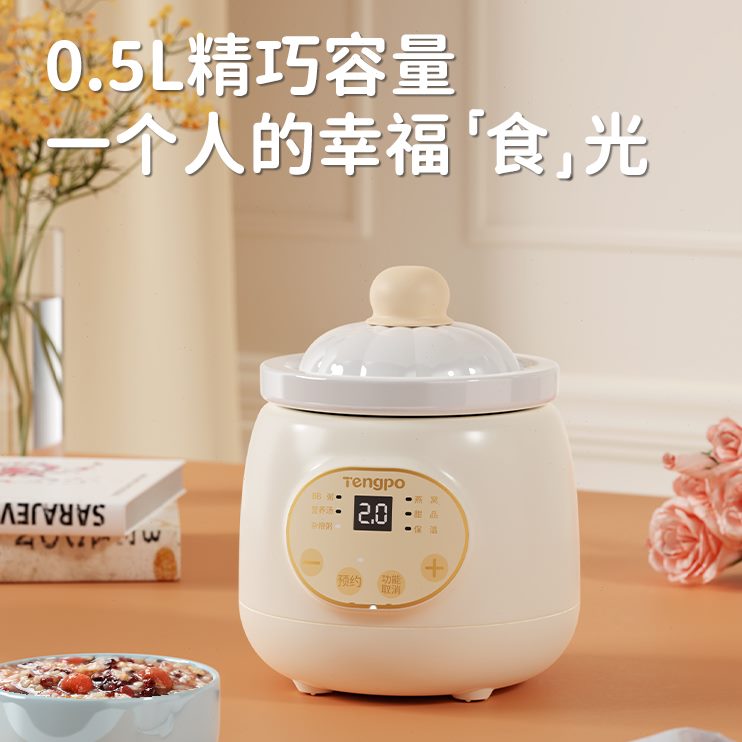 迷你婆型功能藤多炖汤小人一电炖熬专用神器炖盅陶瓷食煮粥单煲锅
