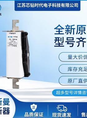 170E3586 170E3587巴斯曼BUSSMANN快速熔断器保险丝