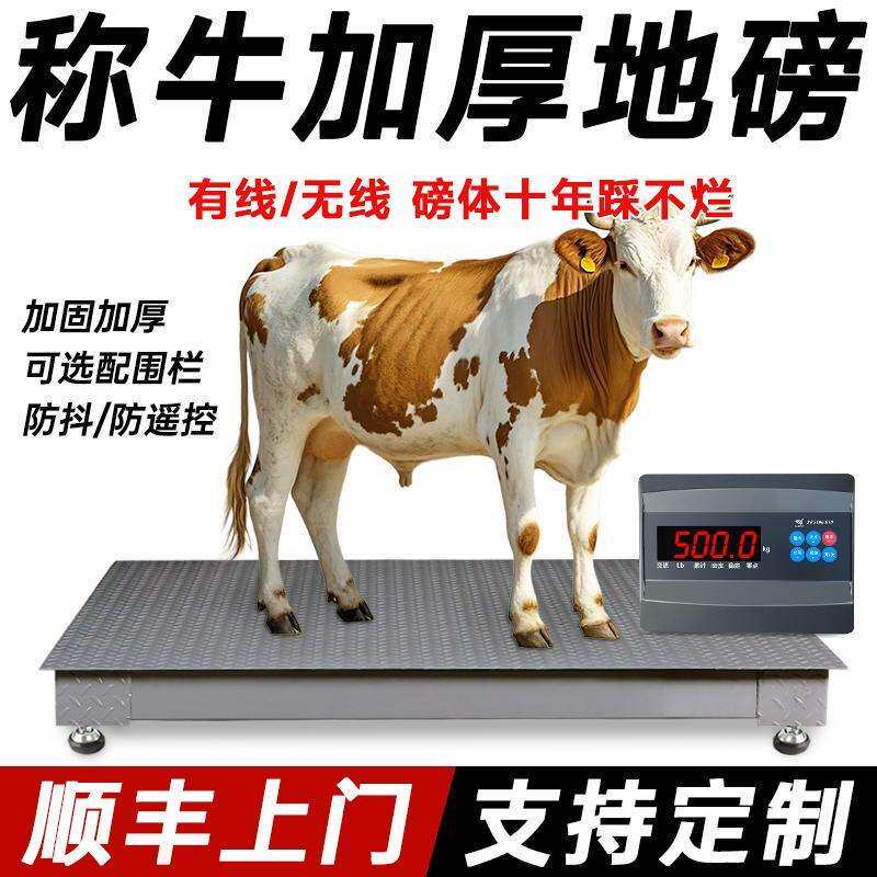 上海耀华加厚畜牧地磅电子秤称牛称猪3吨防遥控防抖高精度地磅秤