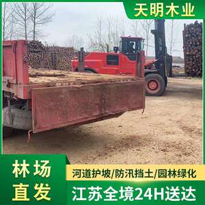 杉木桩原木 河道打桩木杉汛期防洪木桩 园林道路绿化杉木支撑杆
