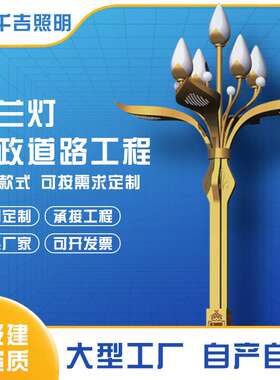 厂家直供户外市政工程道路照明8米LED中华灯景区广场主干道玉兰灯