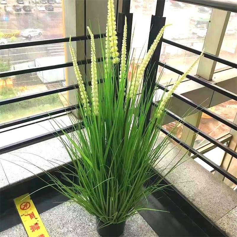 园艺盆栽 水生植物仿真花艺洋葱草大狗尾芦苇大稻谷装饰摆件