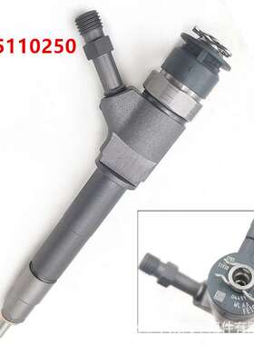 燃油共轨喷油器110系列喷油器型号0445110250