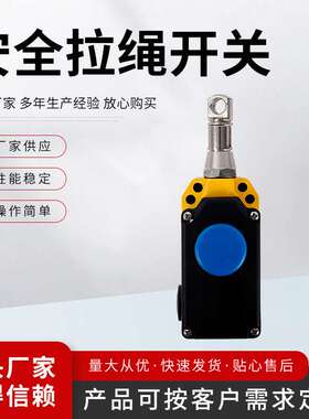 安全拉线开关ZGLS-LX-S 安全拉绳开关（手动）开关安全拉线 手动