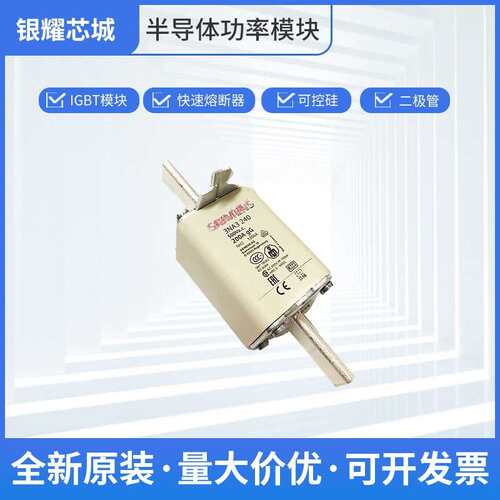 全国发货批次22+ 圆柱形熔断器 交流保险丝 3NA3240