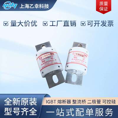 法国熔断器PC30UD69V50A F301926 PC30UD69V63A E300108