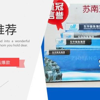 812链条A0C6B 强0华工业链条 12A16A 动B01008东B 10双排 A自6传B
