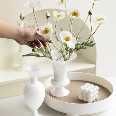 居家装饰摆件桌面玻璃花瓶ins风态器客厅电视柜生活艺术花瓶插花