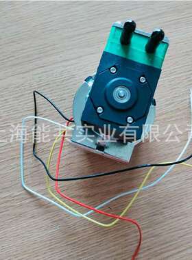 德国气体循环采样泵 PL5402-NFB30 CEMS隔膜真空泵 24V电动抽气泵